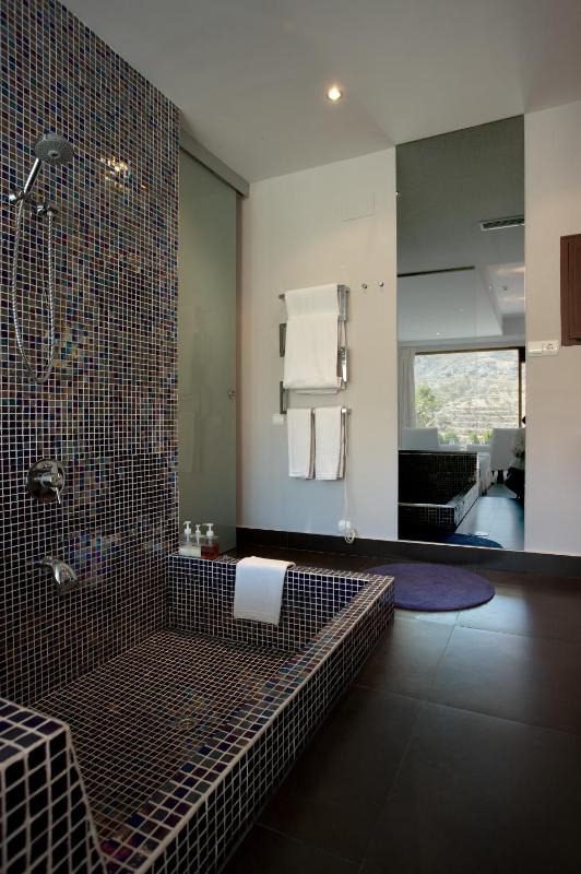Superior Double Room with Terrace image 4
