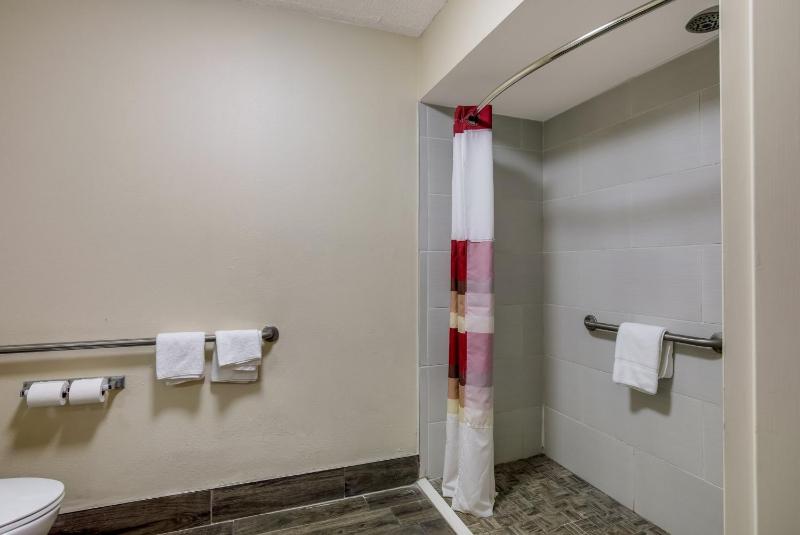 Deluxe Queen Room Disability Access Roll-In Shower Non-Smoking image 2