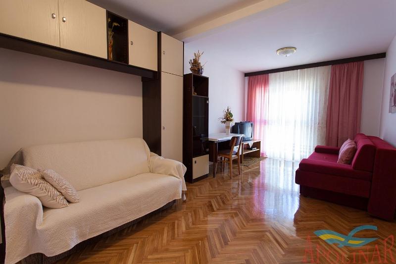Apartments Mirjana - image 29