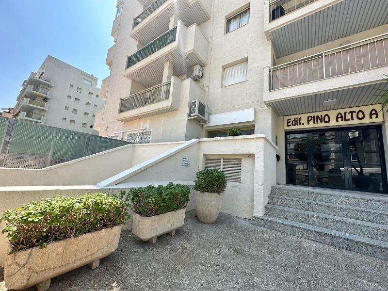 DOMuum Holidays - PINO ALTO - image 16