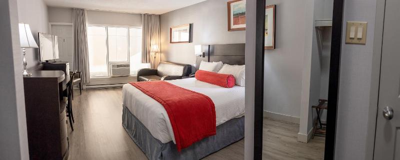 Premium Queen Room with sofa bed