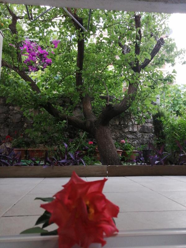 Studio (4 Adults) image 3