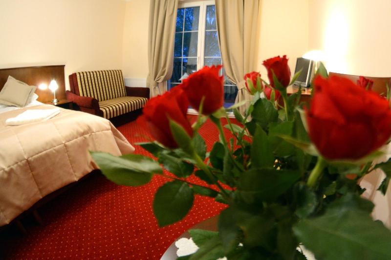 One-Bedroom Apartment (4 Adults) image 4