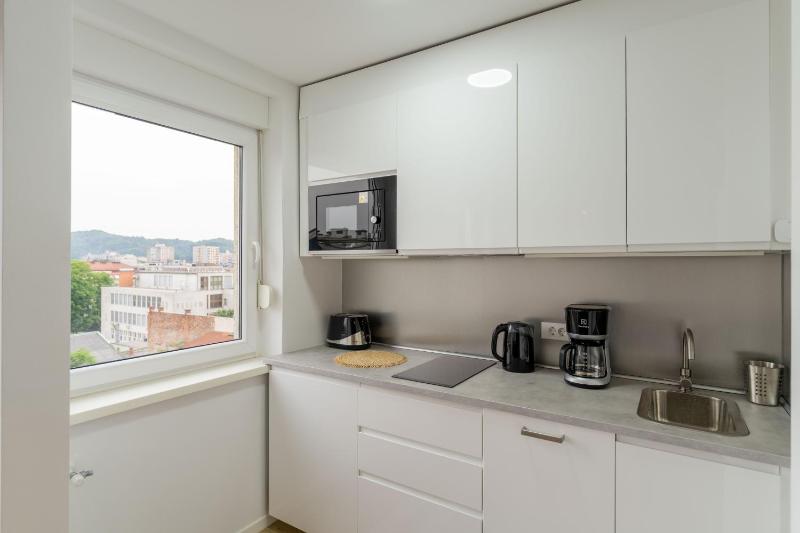 Elegant Tour As studios Gilly with a balcony and open views in the Ljubljana center - image 12