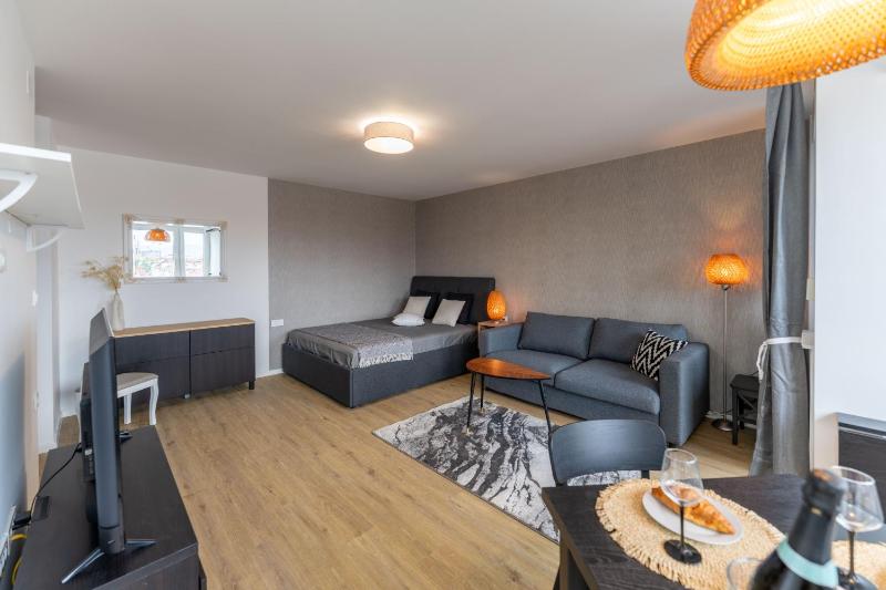 Elegant Tour As studios Gilly with a balcony and open views in the Ljubljana center - image 16