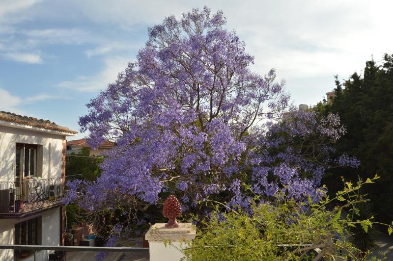 B&B Garden Grazia - image 15
