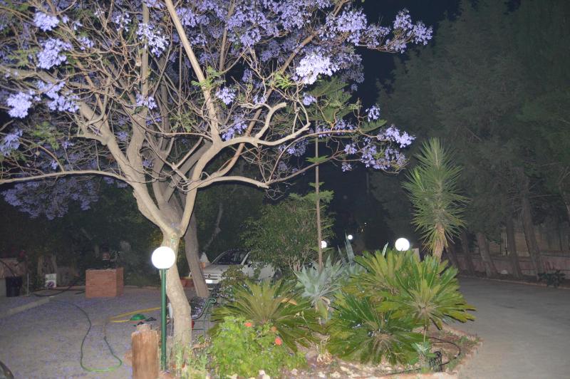 B&B Garden Grazia - image 2