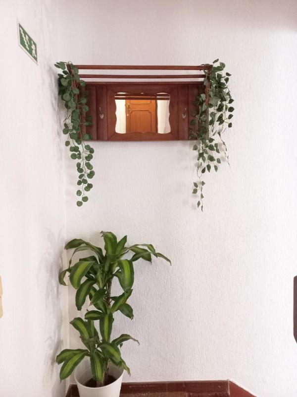 Villa do Sol Carcavelos Beach House - image 21