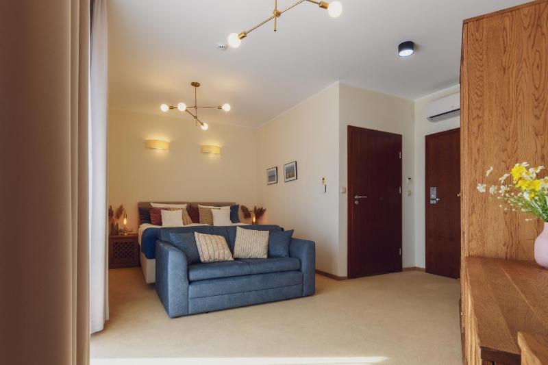 Deluxe Double Room image 1