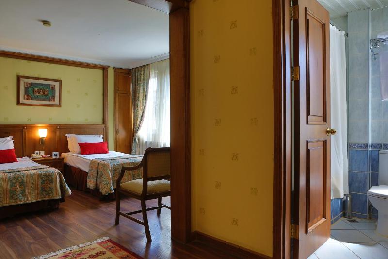 Standard Twin Room image 3