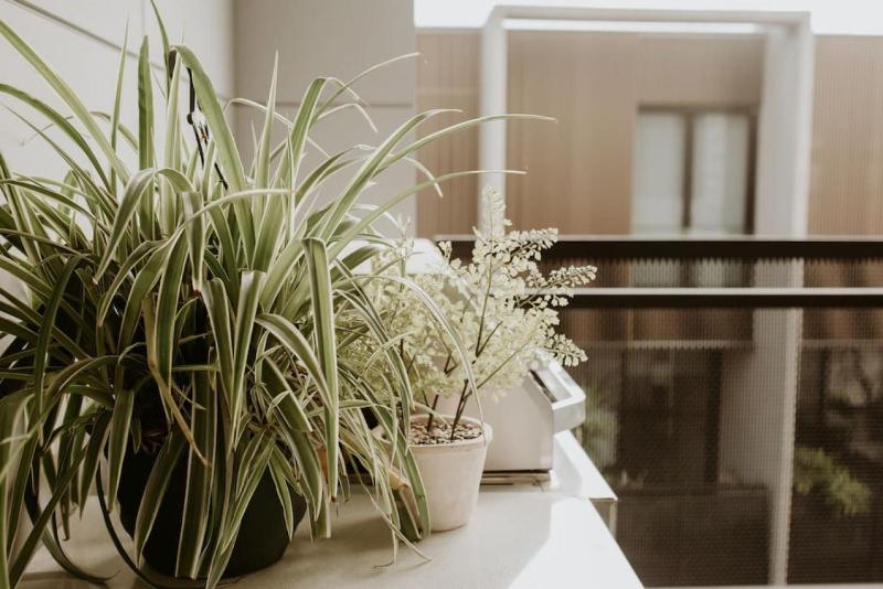 SYLO Luxury Apartments - A Light-Filled City Retreat - image 15