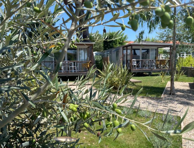 Camping Les Cigales - image 1