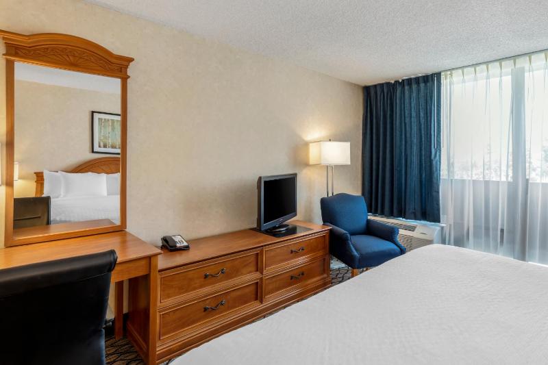 Standard Room, 1 King Bed, Non-Smoking image 3