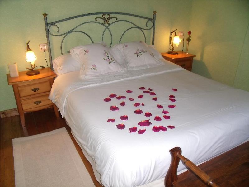 Double Room with Spa Access image 2