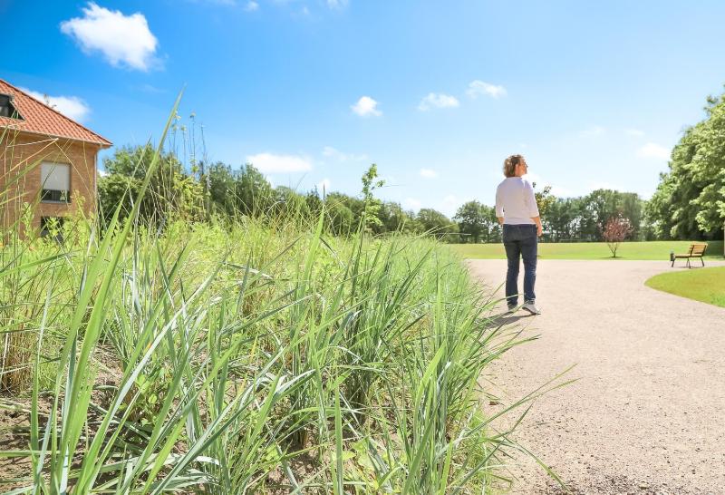 Wohnen am Südstrand - Ferienwohnung 1 6 - image 8