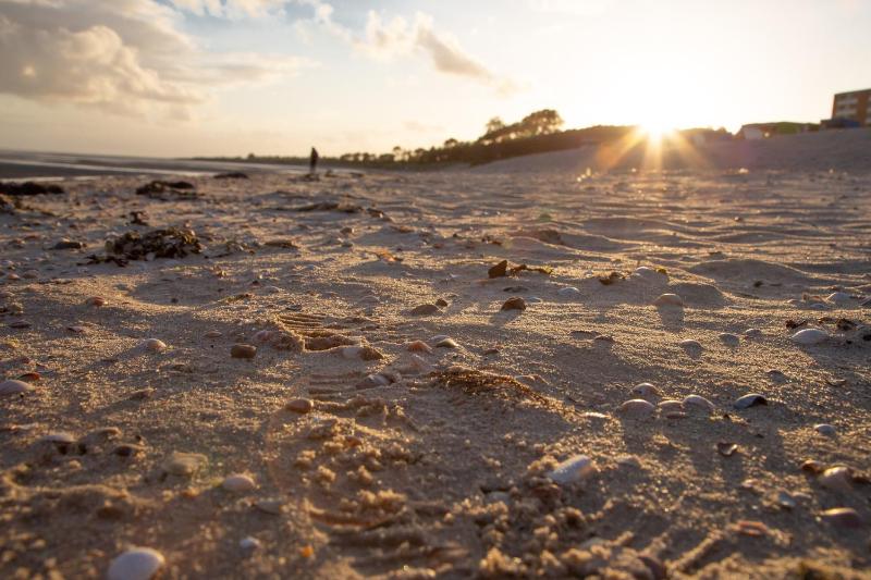 Wohnen am Südstrand - Ferienwohnung 1 7 - image 12
