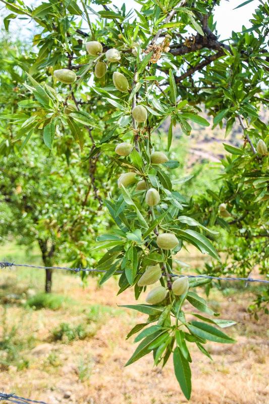 Studio with Mountain View image 4