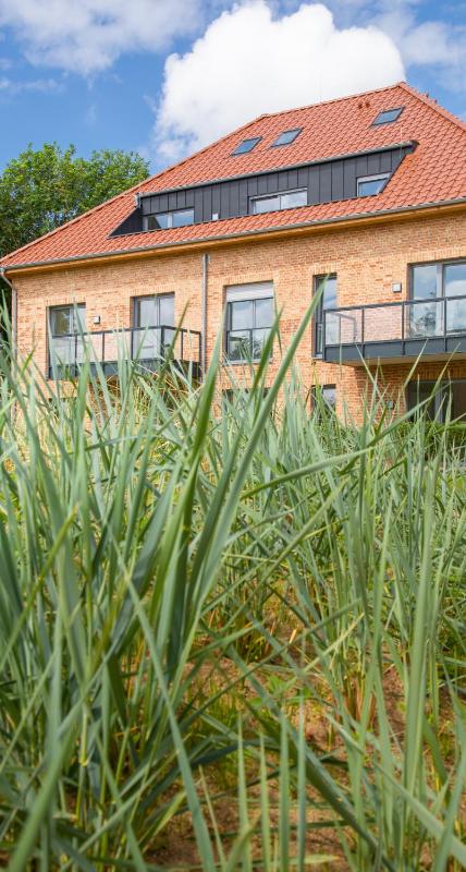 Wohnen am Südstrand - Ferienwohnung 1 7 - image 14