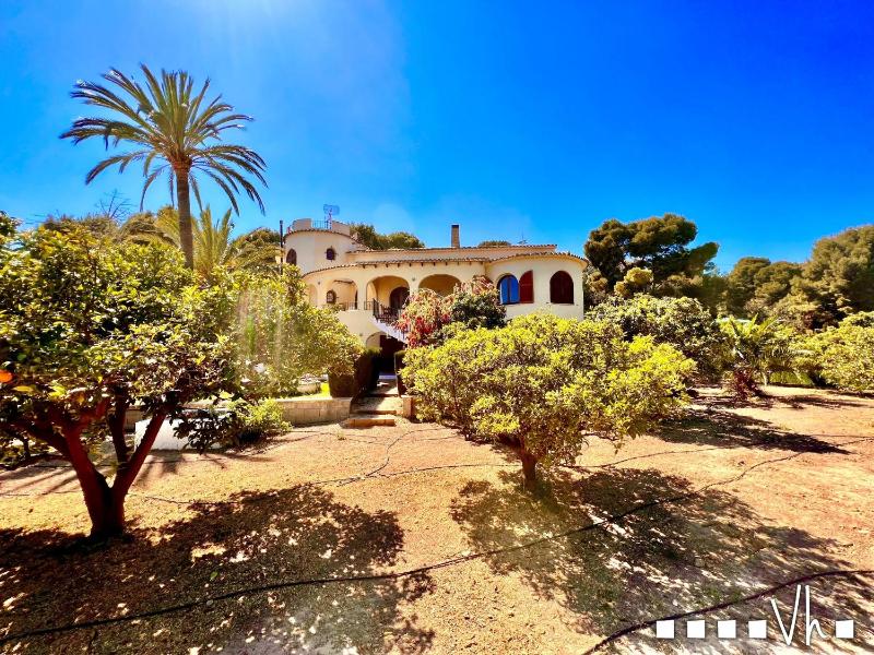 VH Costa Blanca - LLOBELLA - image 8