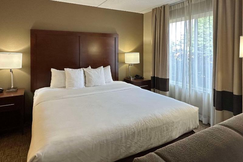 Standard King Suite - Non-Smoking image 3