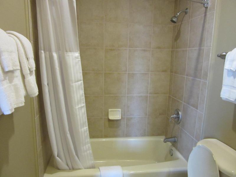 Hilton Vacation Club Lodge Alley Inn Charleston - image 11
