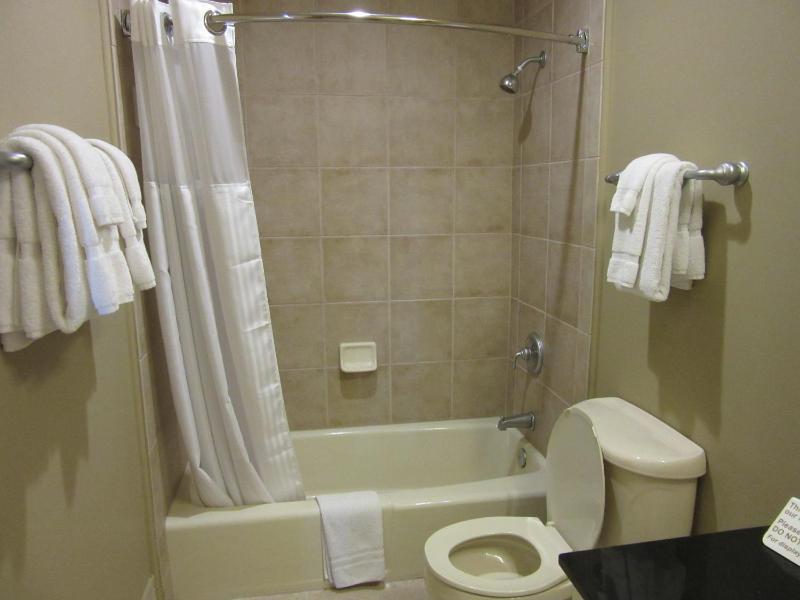 Hilton Vacation Club Lodge Alley Inn Charleston - image 40