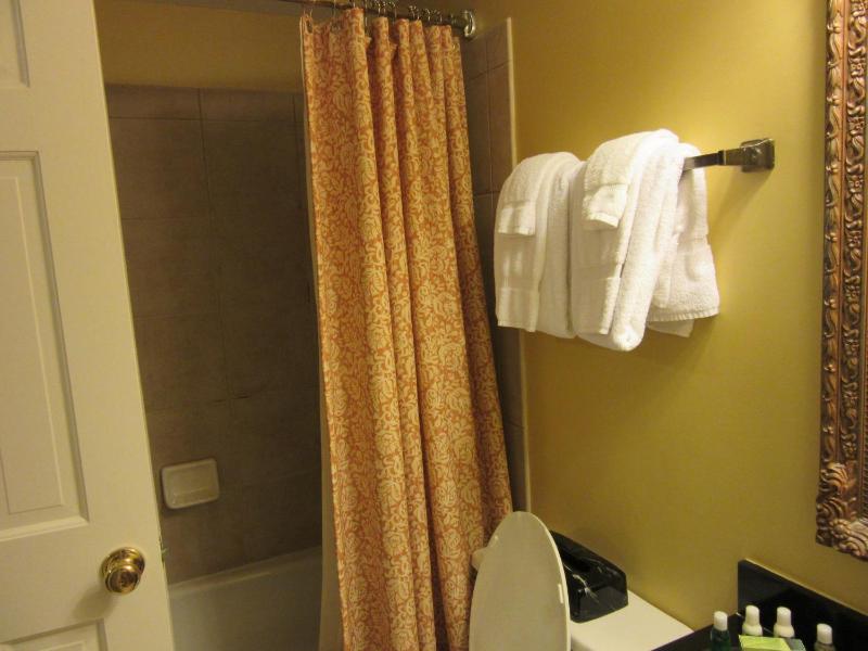 Hilton Vacation Club Lodge Alley Inn Charleston - image 38