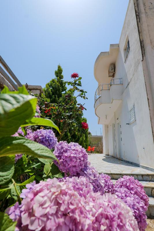 Vila Leka - image 1