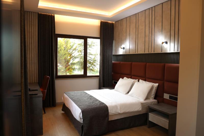 Deluxe King Suite image 1