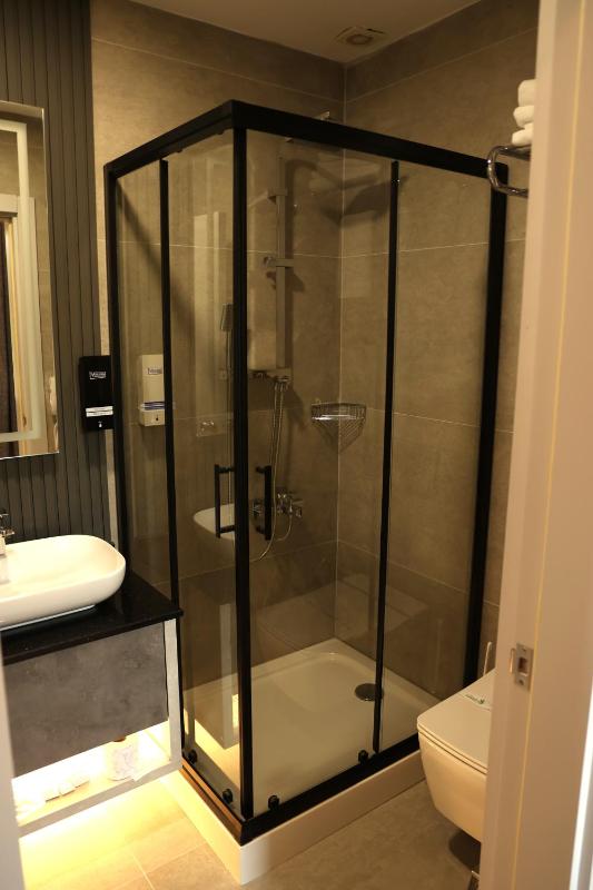 Deluxe King Suite image 4