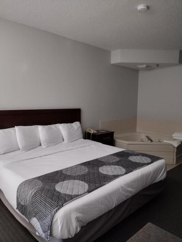 Junior Suite image 2