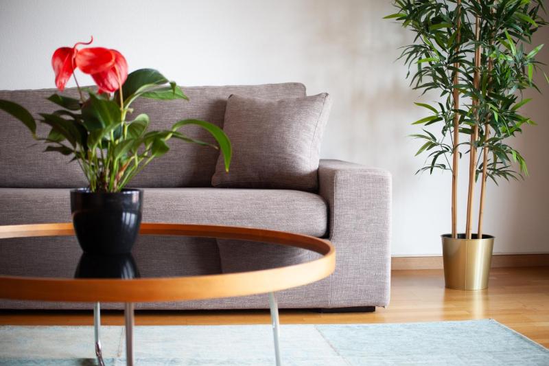 Standard Apartment image 4