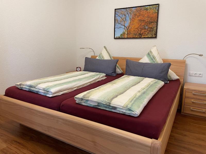 Deluxe King Suite image 2