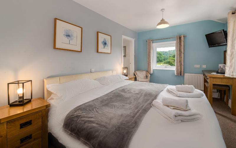 Superior Double Room image 1