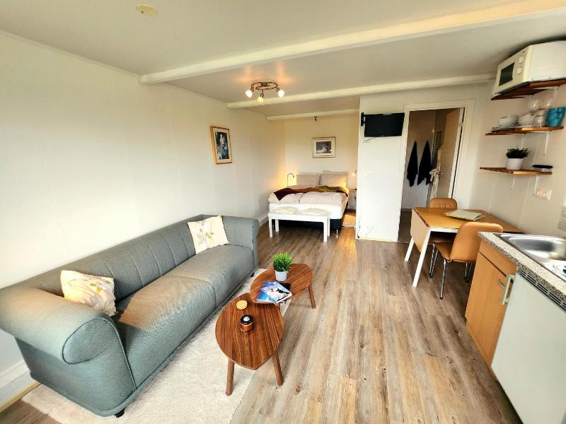 Studio Apartment image 3