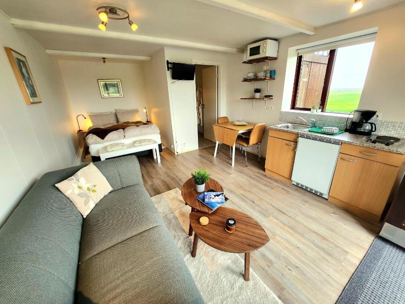 Studio Apartment image 4