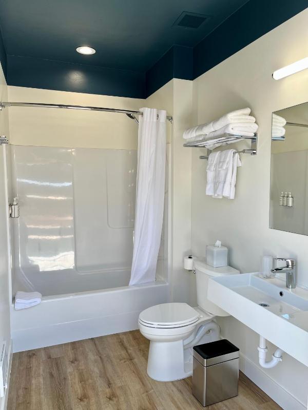 Premium King Tent with Skylight image 4