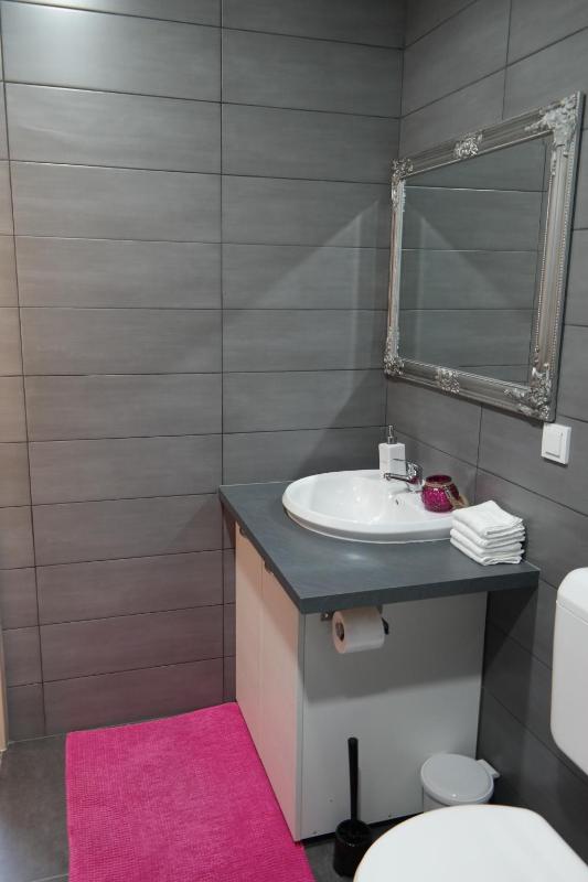 One-Bedroom Apartment with Terrace image 4