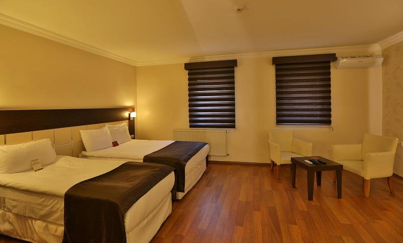Standard Triple Room image 2