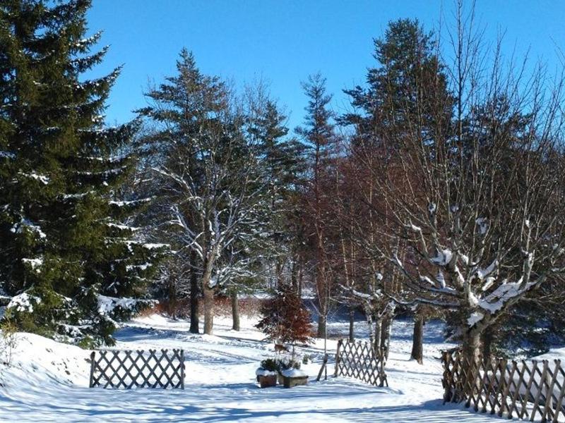 Holiday Home (5 Adults) image 4