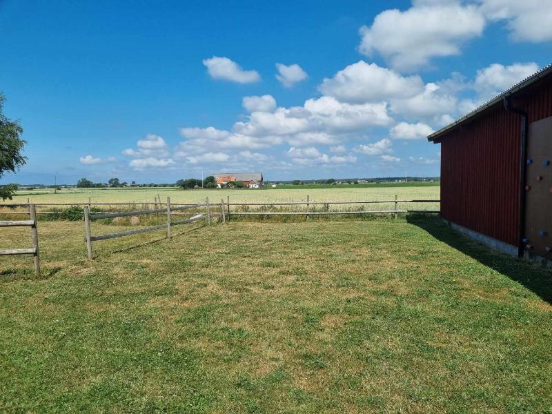 Studio with Terrace image 4