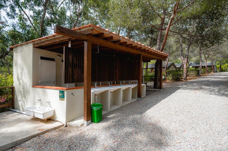 Glamping at Elba - image 3