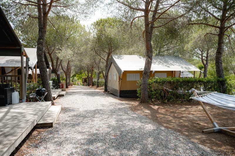 Glamping at Elba - image 18