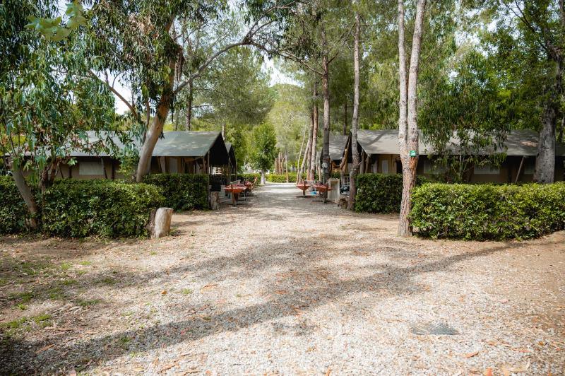 Glamping at Elba - image 44