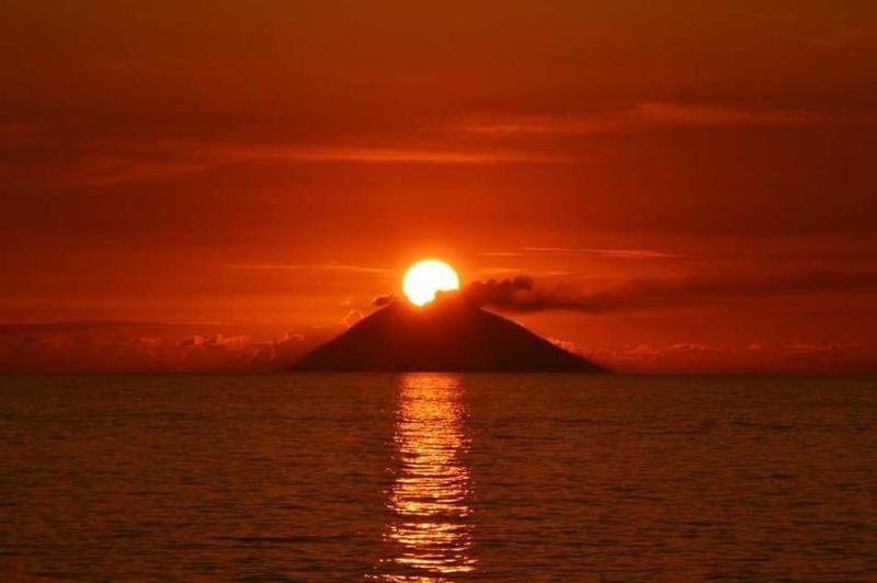 The Queen Tropea - image 31