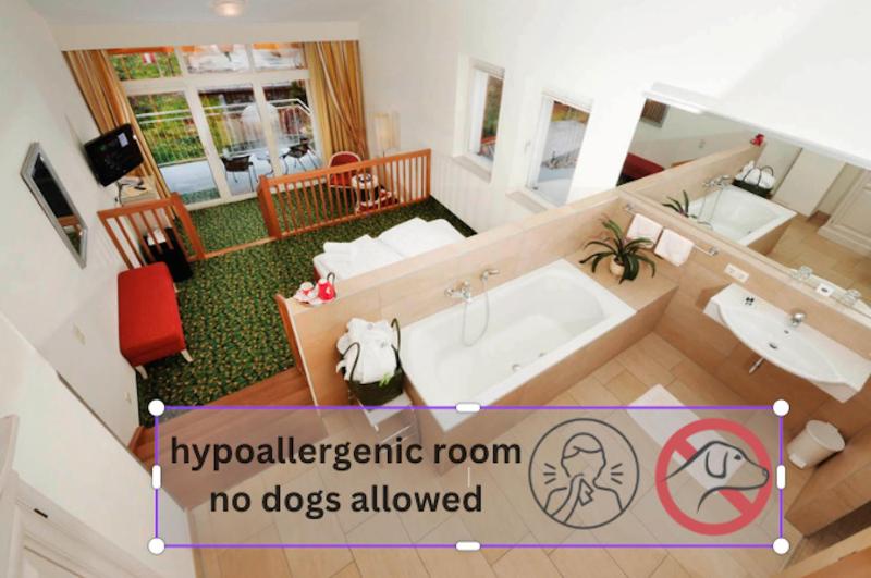 Deluxe Room - Hypoallergenic image 1