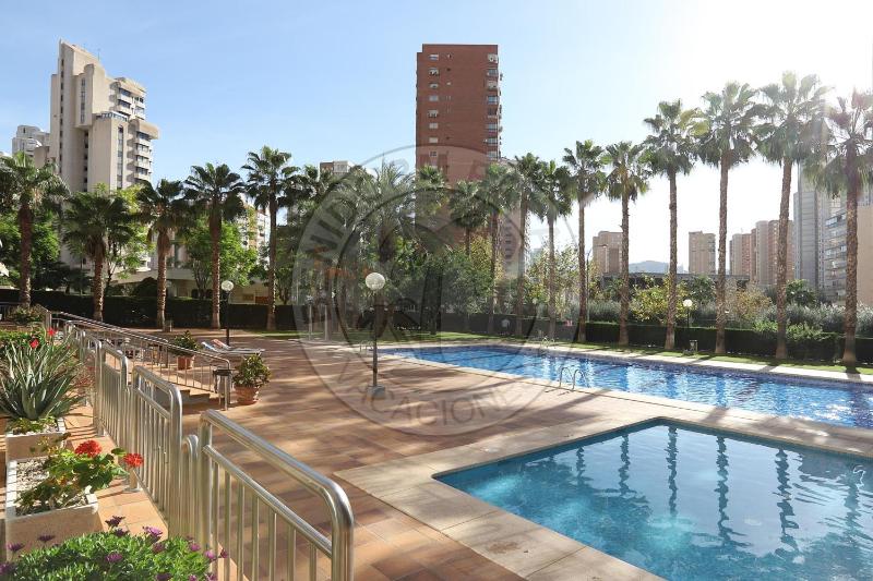Apartamentos Paraíso Centro - BenidormParaíso - image 16