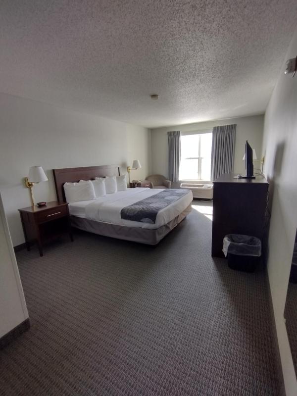 Standard King Room image 2
