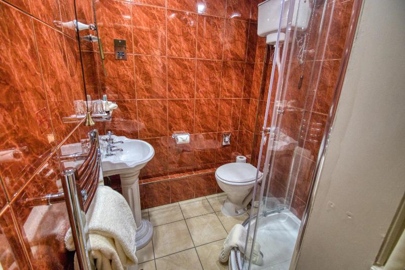Single Room image 4