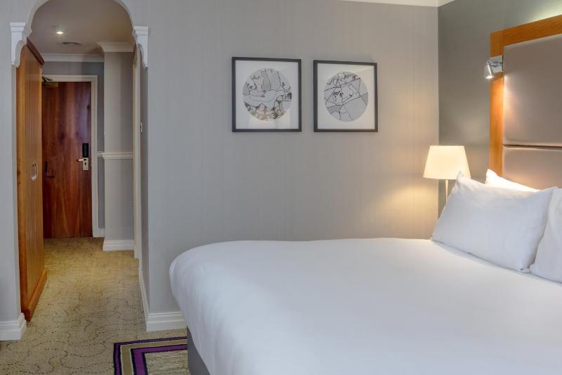 Deluxe King Room image 2